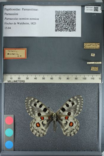 Media type: image;   Entomology 174980